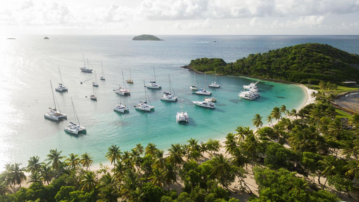 Uitzicht over de baai met jachten en palmbomen