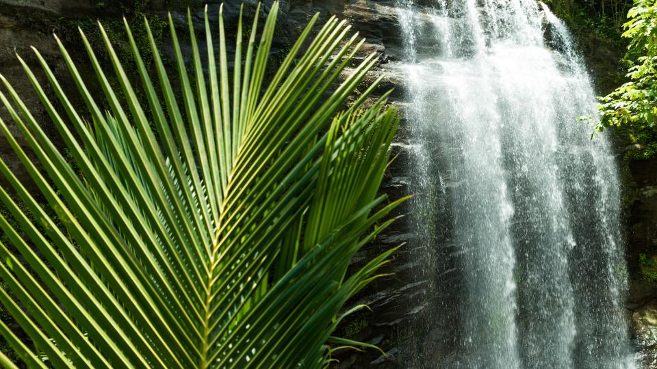 Concord Falls Grenada