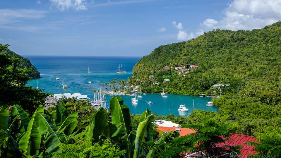 Bob Ell Marigot Bay St. Lucia