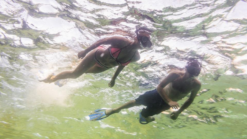 Snorkellers exploring reefs