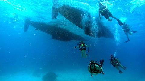 Diving Lessons in the Bahamas Diving Lessons in the Bahamas