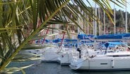 Marina Agana, Croatia