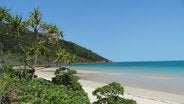 Thomas Island
