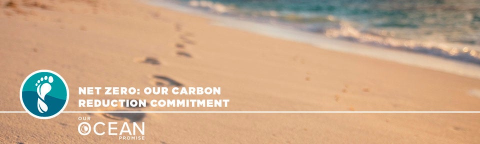 Net Zero: Our carbon reduction commitment Net Zero: Our carbon reduction commitment