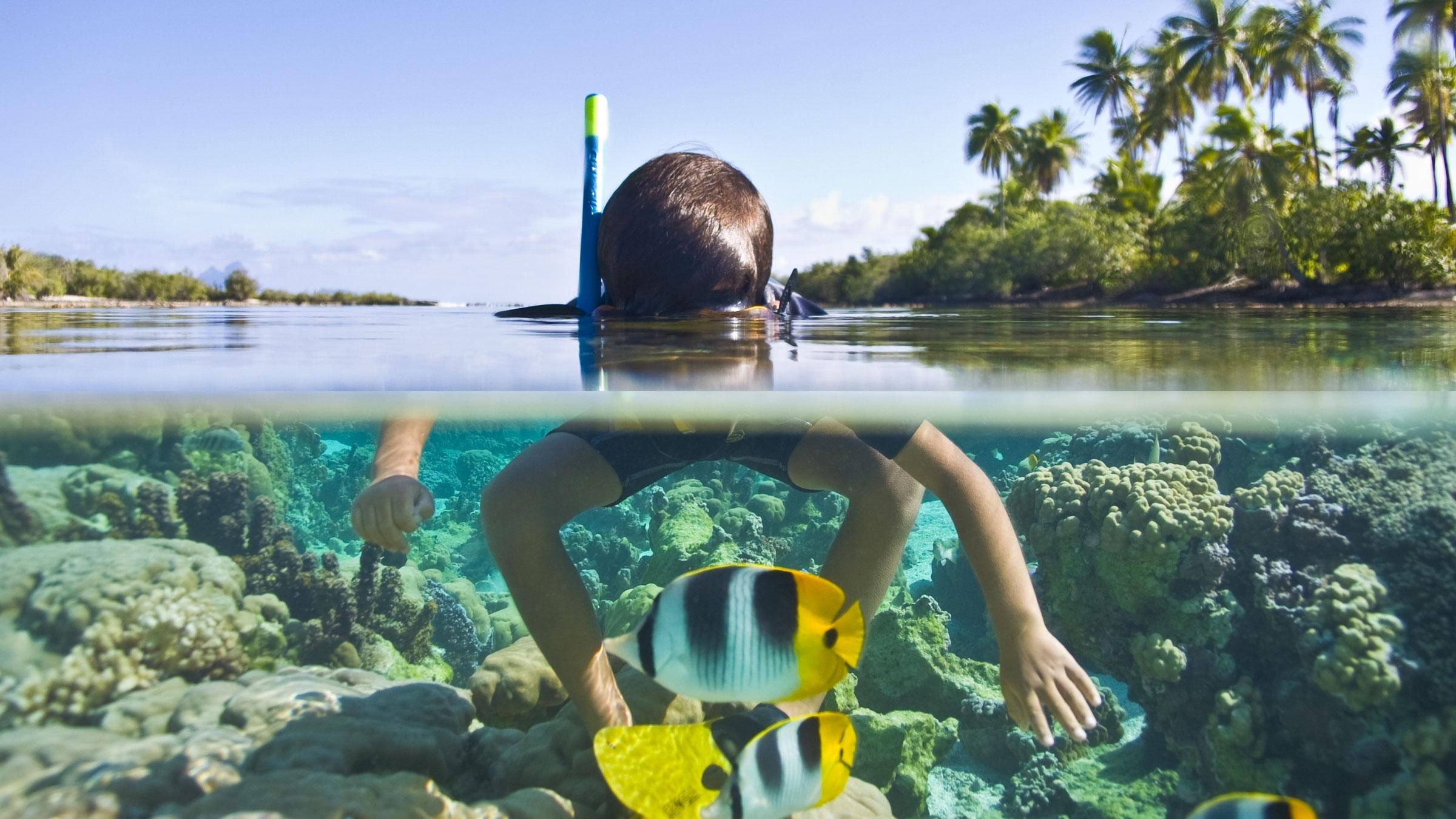 Credit Mathieu Flickr Tahaa Snorkeling